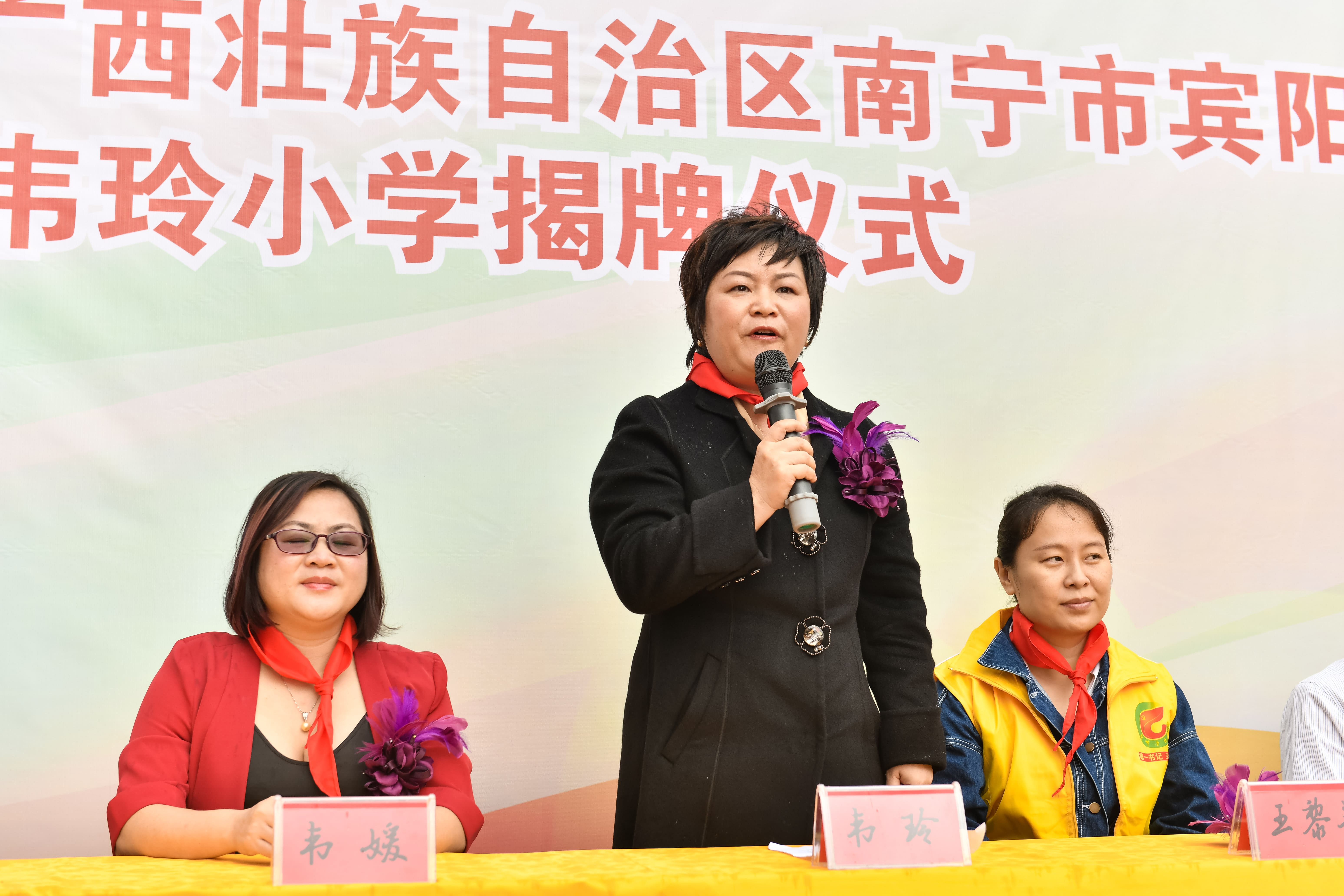 第184所 南宁市宾阳县思陇镇昆仑村尚赫韦玲小学 第184所 南宁市宾阳县思陇镇昆仑村尚赫韦玲小学